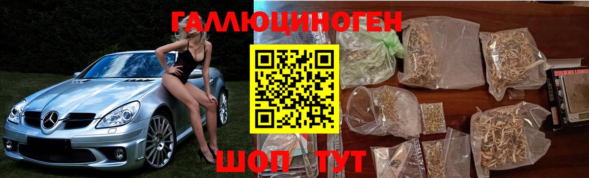 Псилоцибиновые грибы MAGIC MUSHROOMS  Вход с VPN  Еманжелинск 